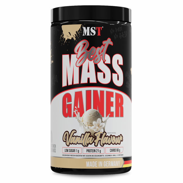 Best Mass Gainer 1kg Vanille